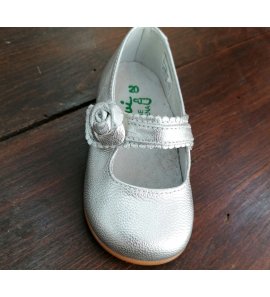 Zapato plata flor