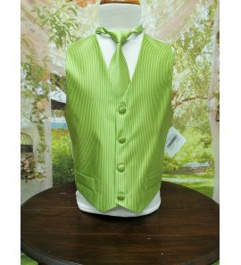 Chaleco y corbata verde rayas